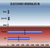 ELECCIONES GENERALES 08