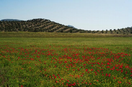Aprovechamiento agr&iacute;cola